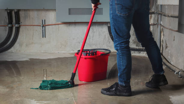 Best Ceiling water damage repair  in Mills River, NC