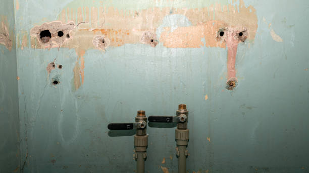 Best Water damage contractors near me  in Mills River, NC