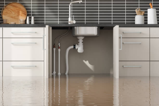 Best Sewage cleanup and water damage restoration  in Mills River, NC