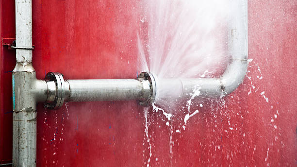Best Basement water damage restoration  in Mills River, NC