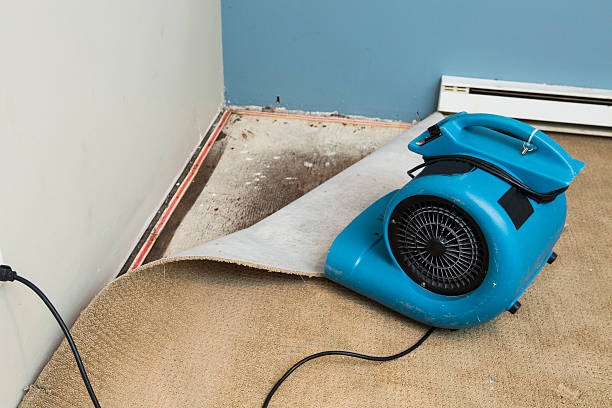 Best Water damage restoration near me  in Mills River, NC